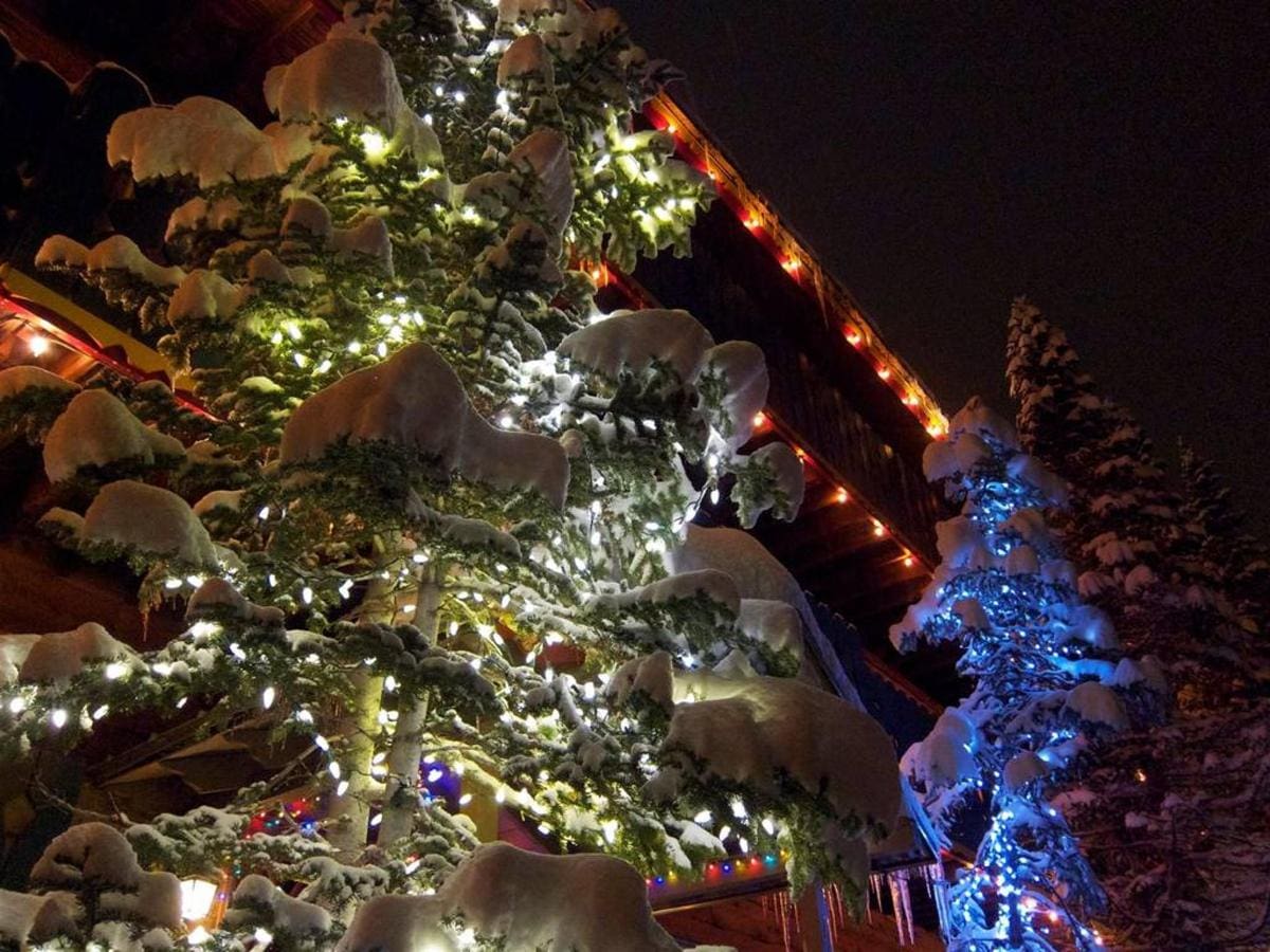 Snow-covered trees with colorful lights stand outside a wooden building at night.