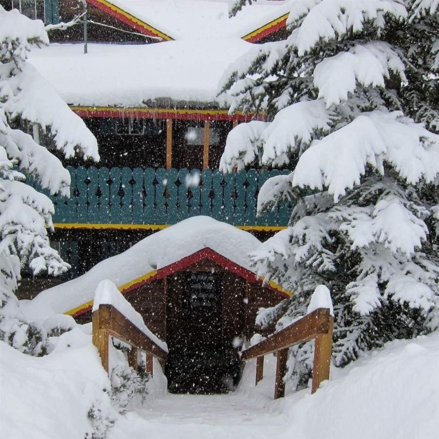 Snow-covered chalet surrounded by trees, with a pathway leading to its entrance.