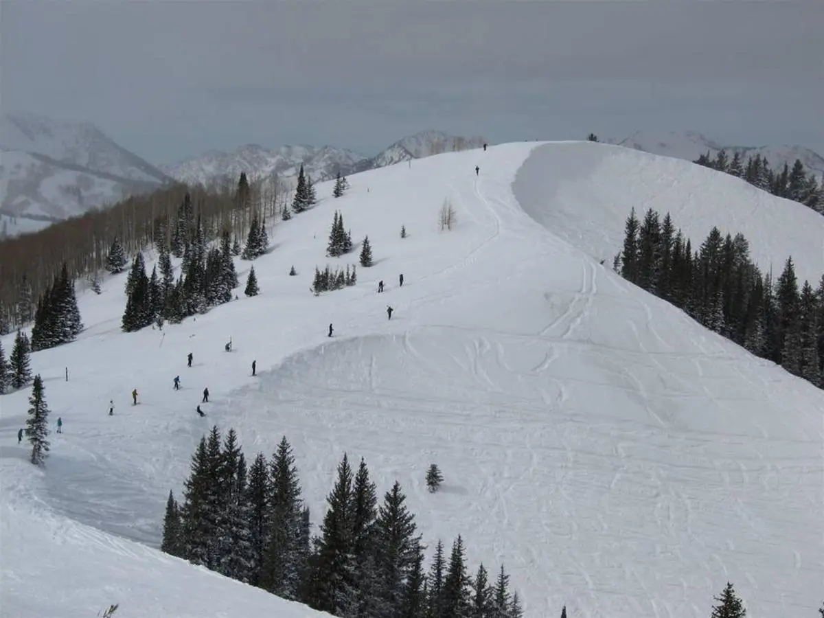 Skiers navigating a snowy hillside with evergreen trees and distant mountain views under a cloudy sky can find perfect accommodations with Park City Ski Vacation Rentals.