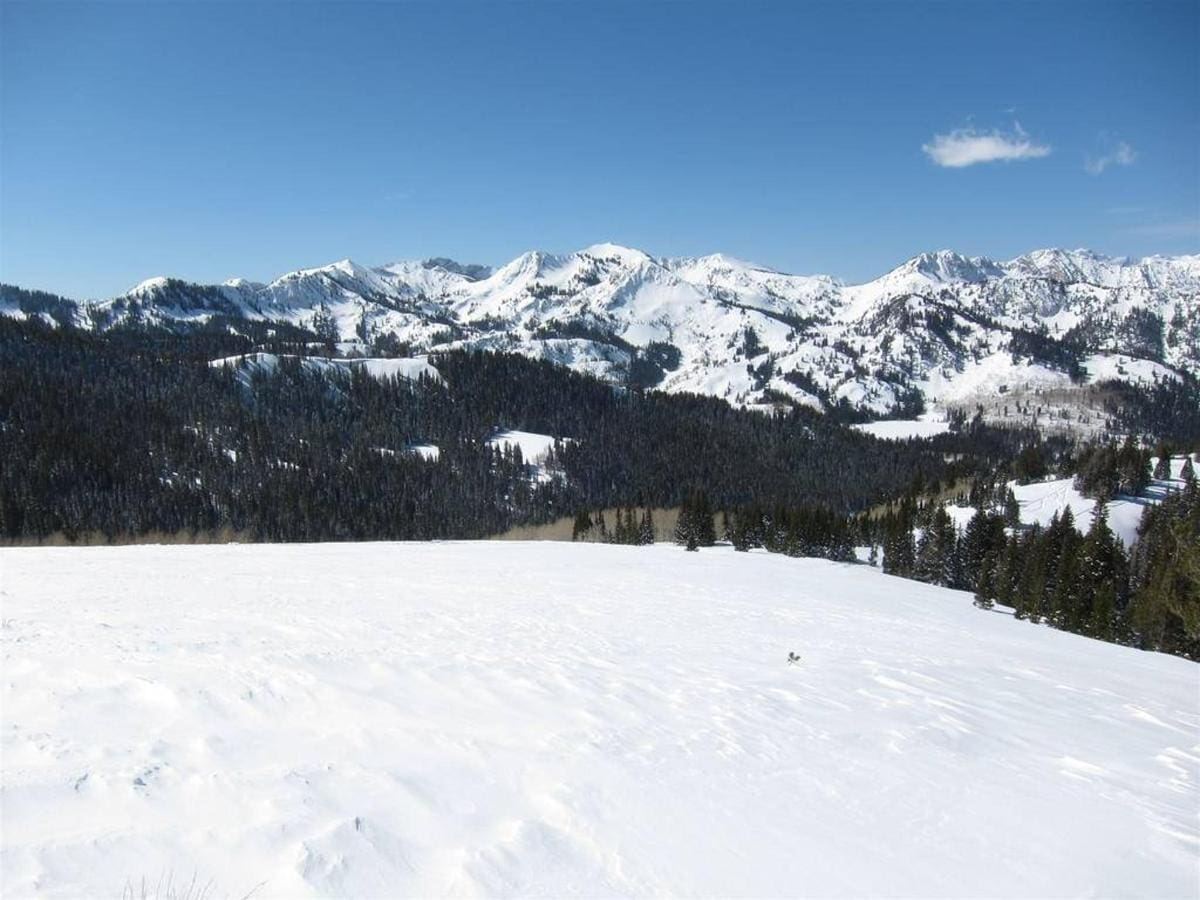 Snow-covered mountains and pine forests under a clear blue sky set the perfect scene for Park City ski vacation rentals.