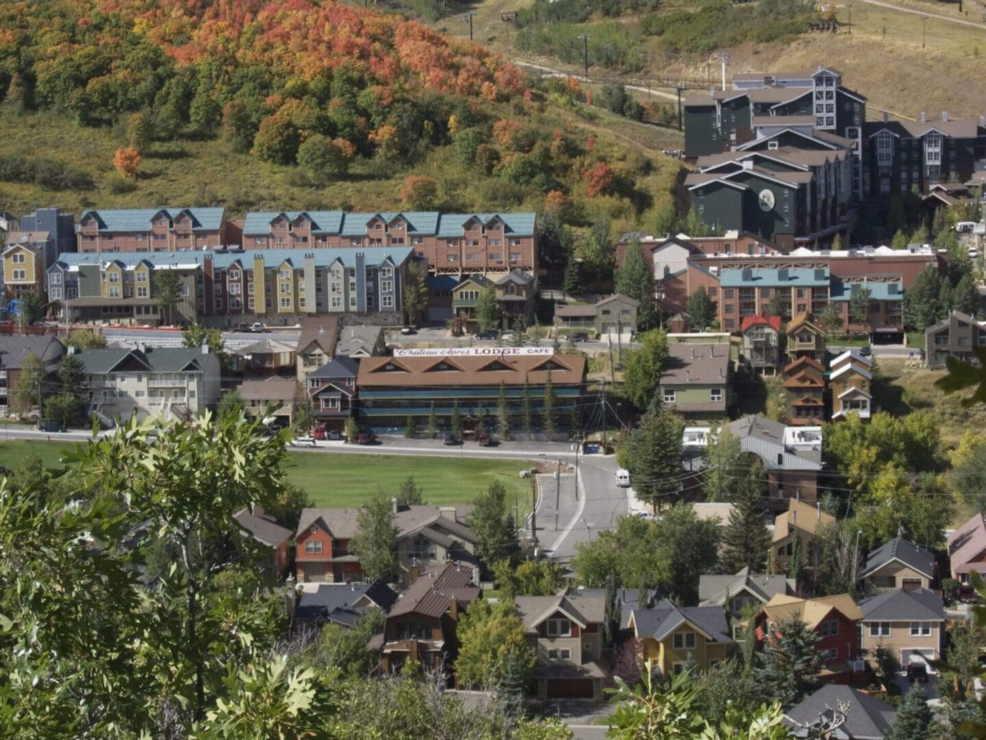 A hillside view of a small town with colorful buildings surrounded by trees, with a backdrop of green and autumn foliage on the hills.