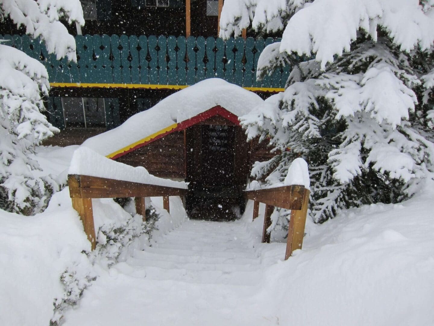 Snow-covered stairs lead down to a wooden structure, surrounded by pine trees with snow-laden branches.