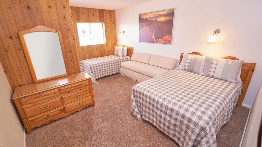 This dorm-style room features two beds, a cozy sofa, and a wooden dresser with a mirror. The paneled walls are adorned with a landscape photo above each bed. A carpeted floor adds warmth, complemented by natural light streaming through the small window.